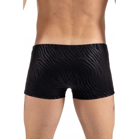 Boxer noir gold Zebra - LM2403-67BLK