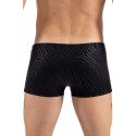 Boxer noir gold Zebra - LM2403-67BLK