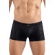 Boxer noir gold Zebra - LM2403-67BLK